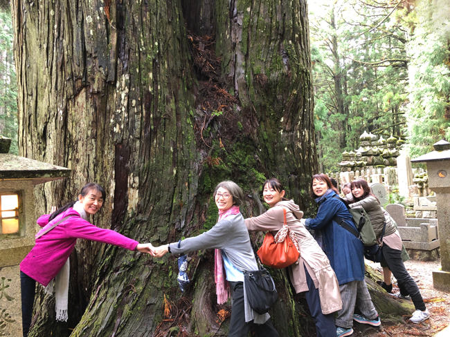 f:id:siratamacyan:20201013031440j:plain