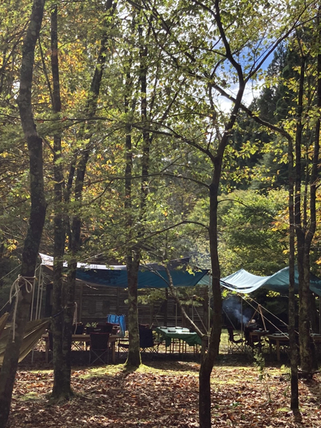 f:id:siratamacyan:20201013031456j:plain