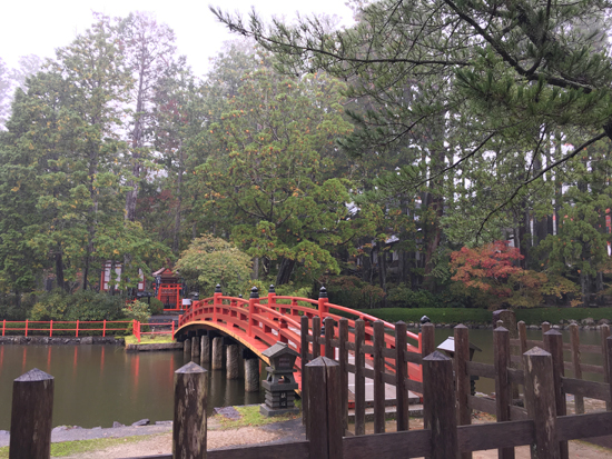 f:id:siratamacyan:20201013035727j:plain