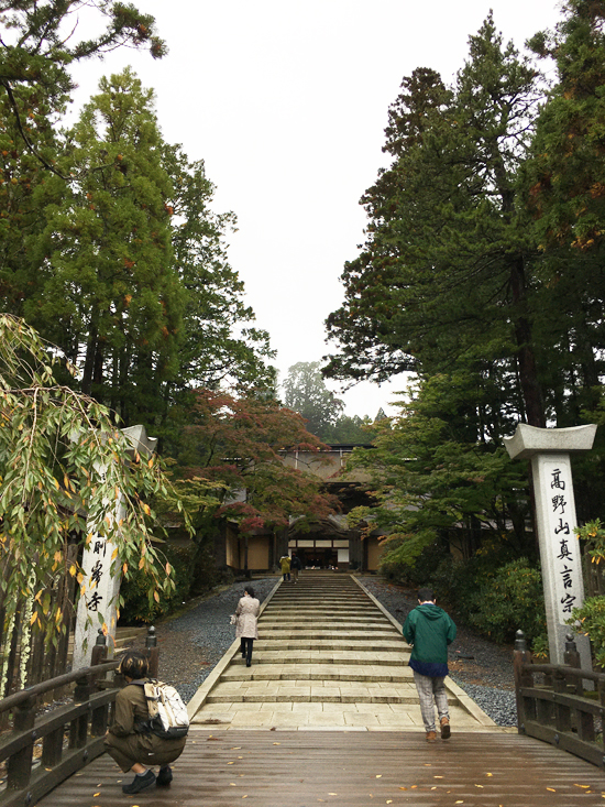 f:id:siratamacyan:20201013035730j:plain