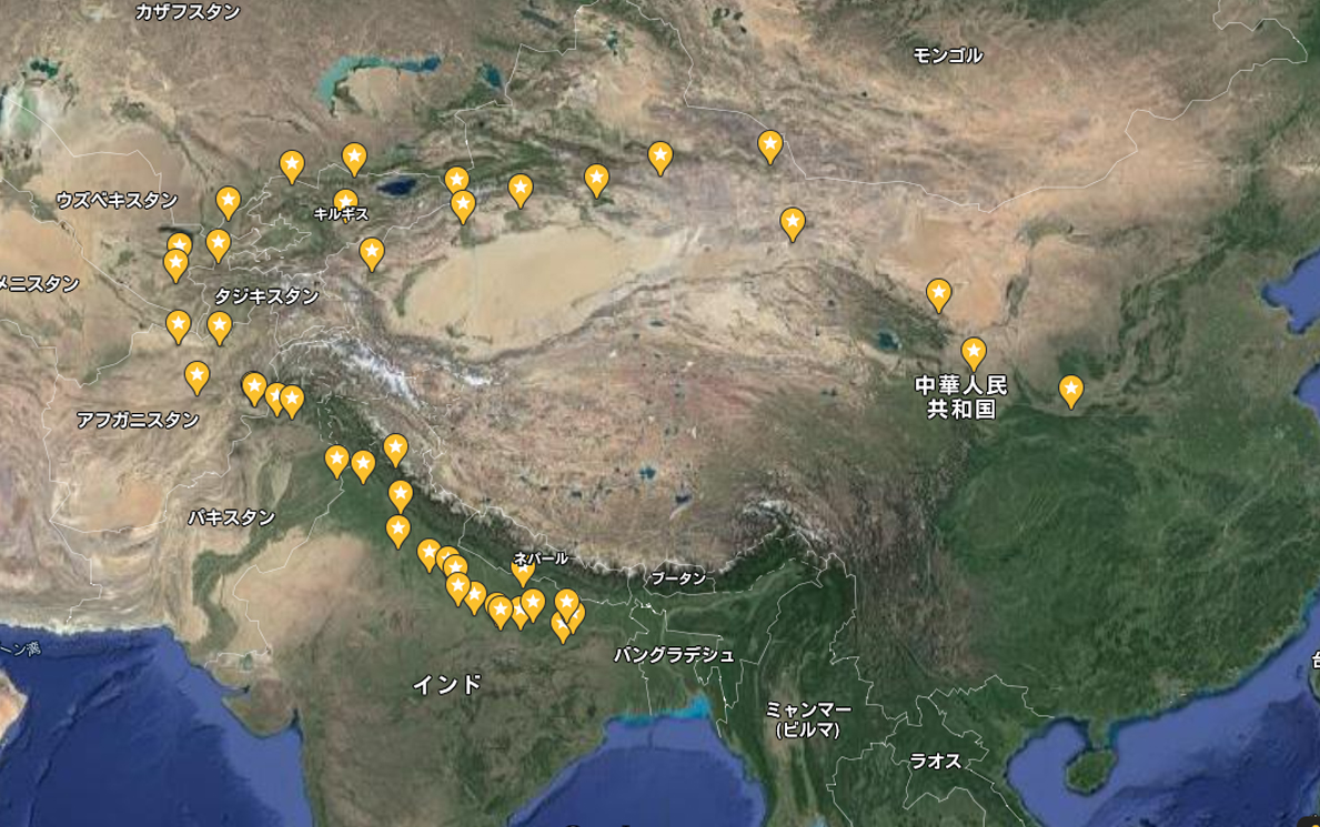 f:id:siratamacyan:20201111235048j:plain