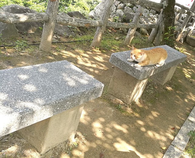 f:id:sirauominimal:20180716222758j:image f:id:sirauominimal:20180716222758j:image