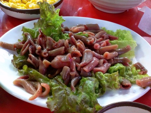 f:id:sirius-B:20191025030646j:plain