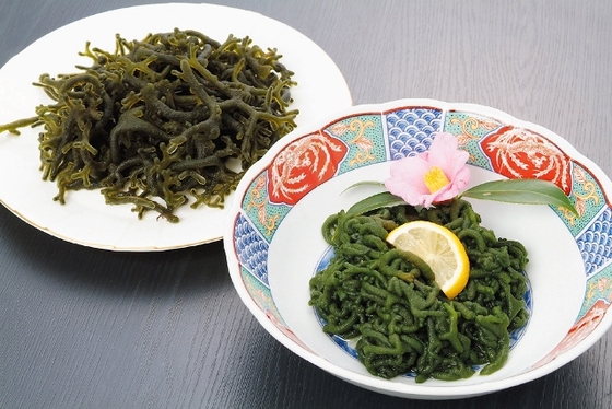 f:id:sirius-B:20191108065233j:plain f:id:sirius-B:20191108065233j:plain