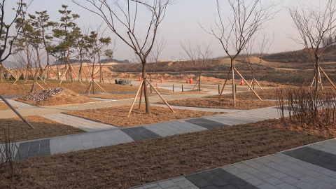 f:id:sirius-B:20191110030327p:plain f:id:sirius-B:20191110030327p:plain