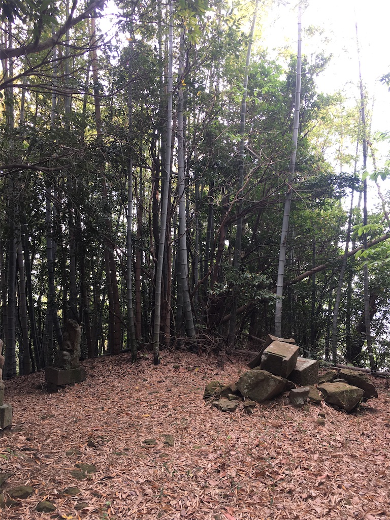 f:id:sirius-blue:20220423193203j:image