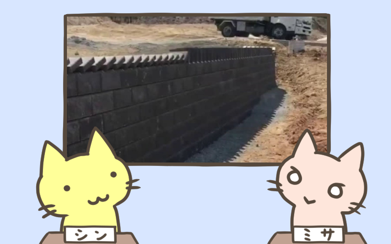 ドミノ倒しだと思ったら予想の斜め上をいく結果に.png ドミノ倒しだと思ったら予想の斜め上をいく結果に