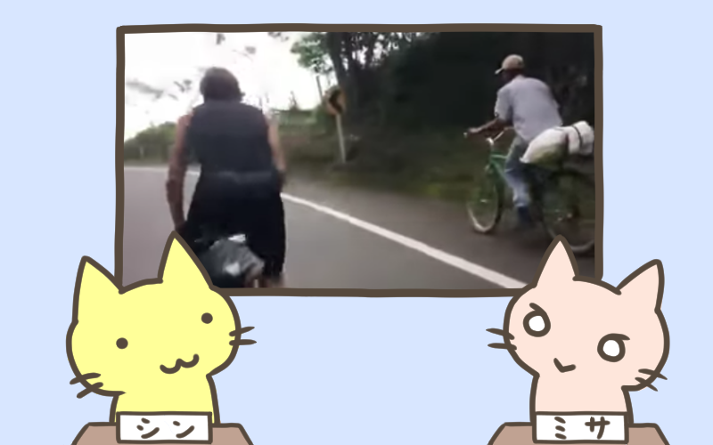 リアル弱虫ペダル.png リアル弱虫ペダル