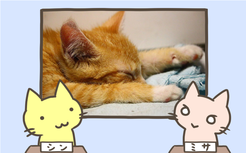 ぐっすり眠れる4つの食べ物と科学的理由.png ぐっすり眠れる4つの食べ物と科学的理由