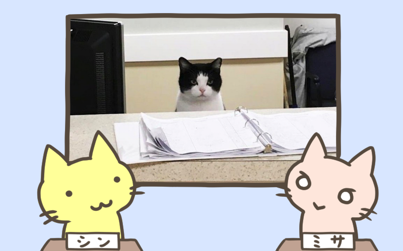 野良猫が老人ホームに住みつき、老人も元気になってWin-Winの関係に.png 野良猫が老人ホームに住みつき 老人も元気になってWin Winの関係に