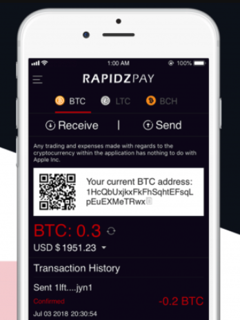 rapidzpay.png Rapidzpay