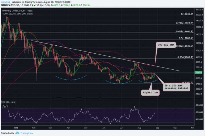 BTC2.png BTC2