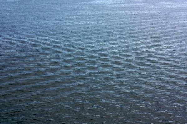 wave.jpg Waves