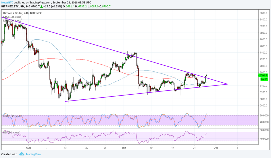 BTC.png BTC