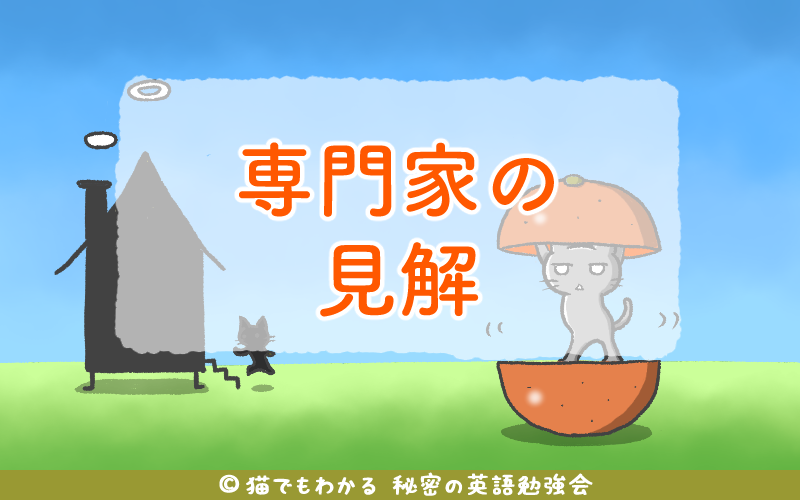 専門家の見解.png 専門家の見解