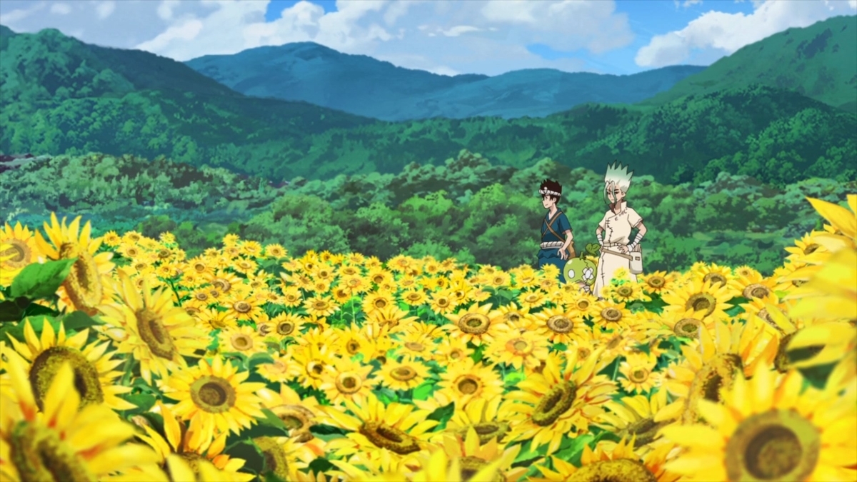 flowers.jpg Flowers