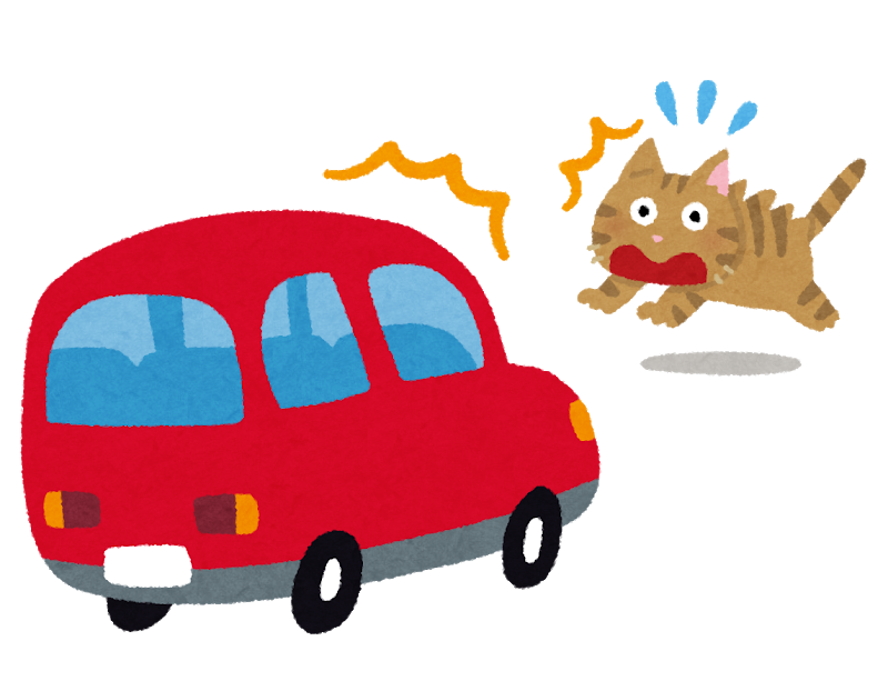 car_jiko_neko.png Car jiko neko