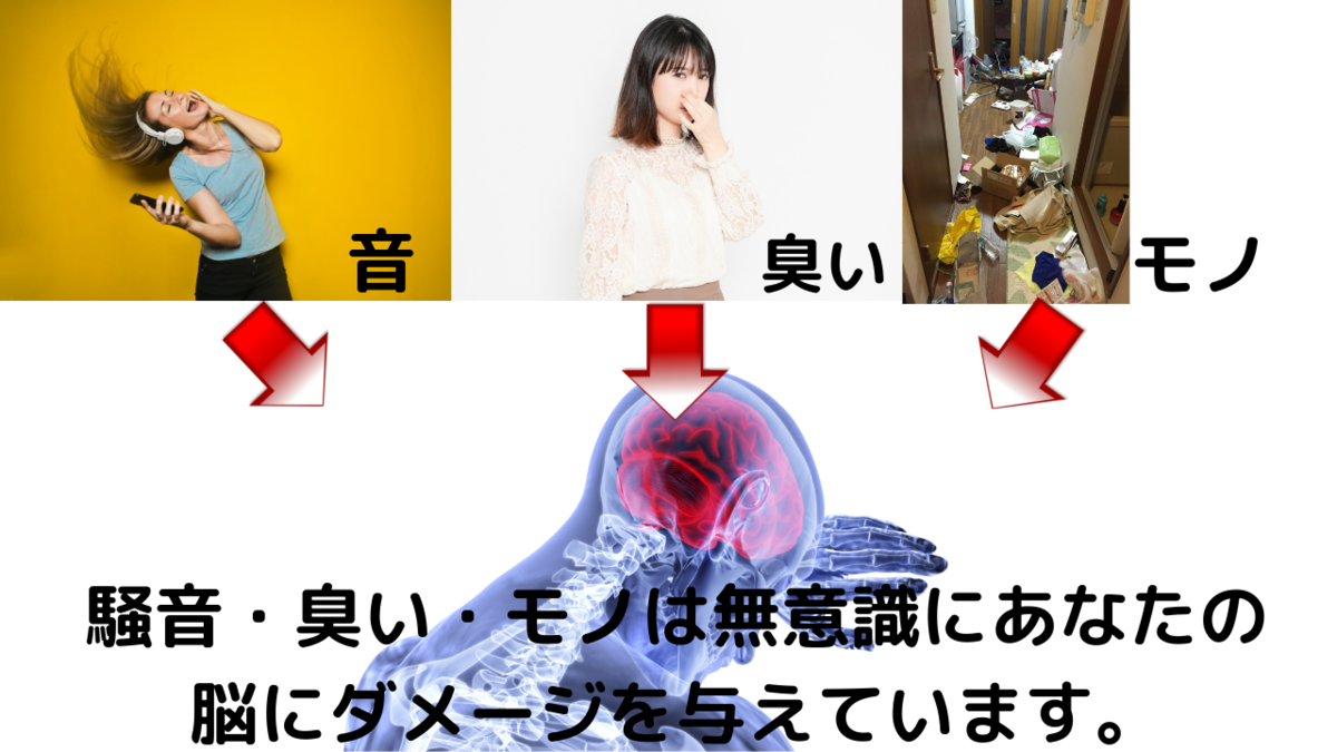 f:id:siriusyouko:20211111130553p:plain