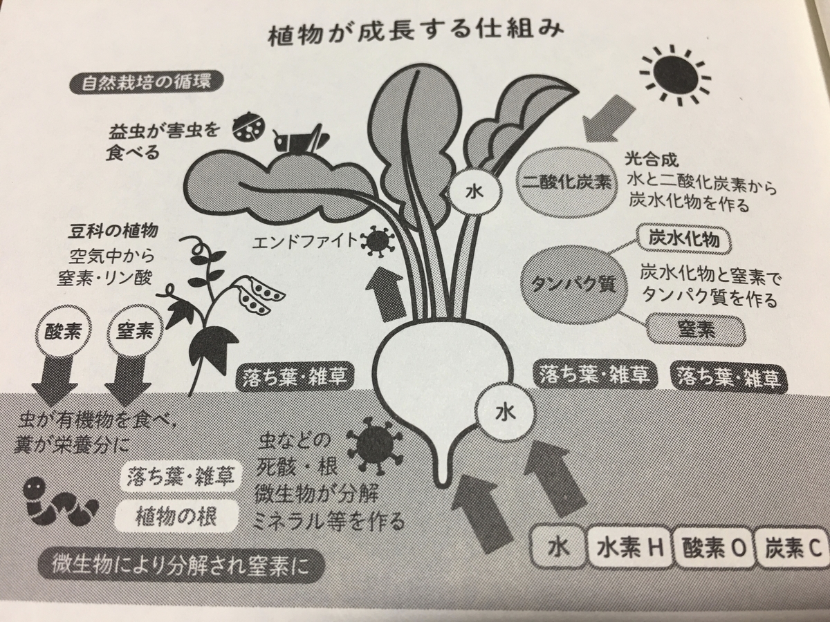 f:id:siriusyouko:20211209232829j:plain