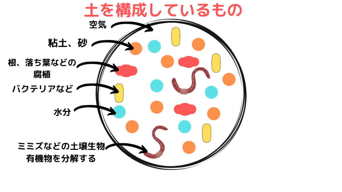f:id:siriusyouko:20211210001544p:plain