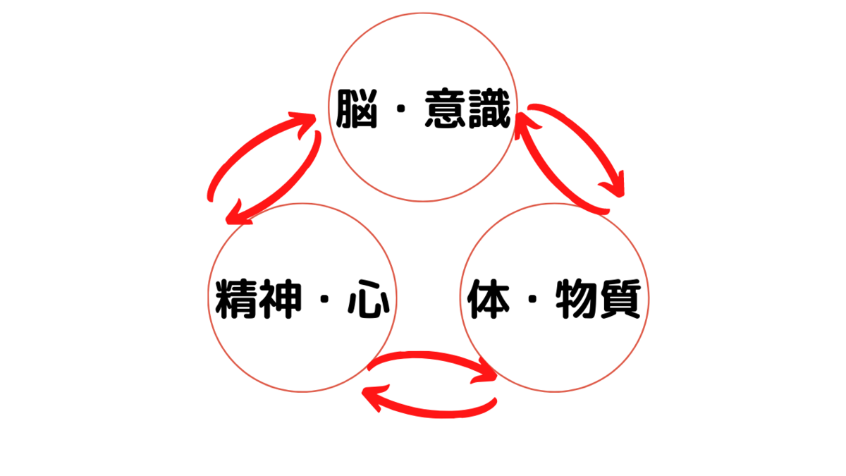 f:id:siriusyouko:20211210110819p:plain