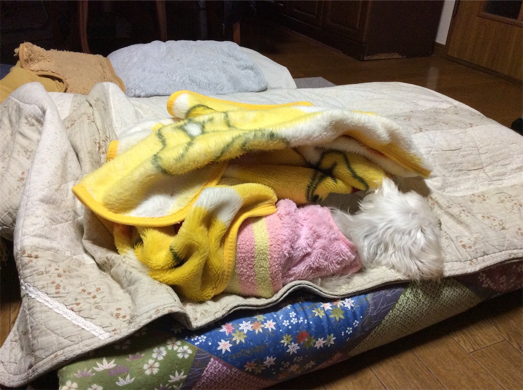 f:id:siriusyouko:20220112204506j:image f:id:siriusyouko:20220112204506j:image