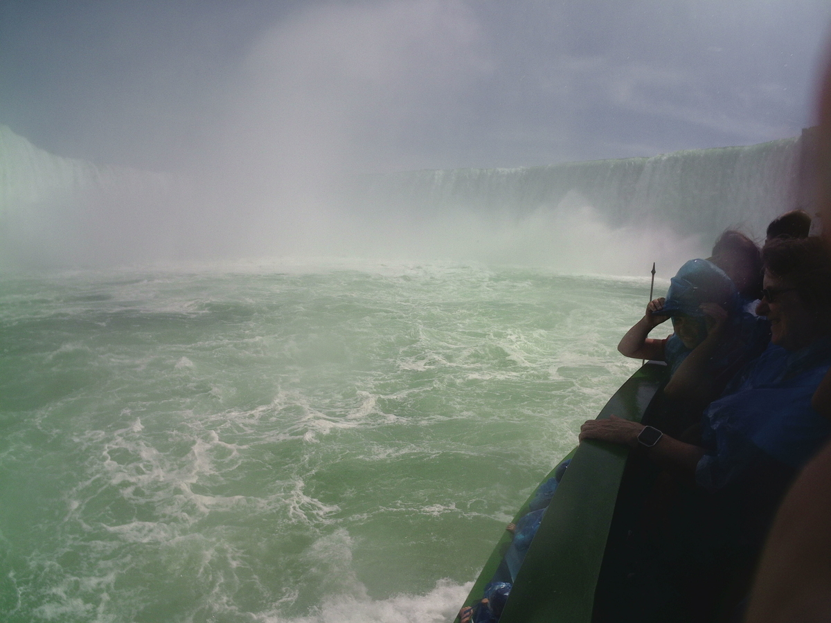 f:id:siro-takotora:20190617200223j:plain