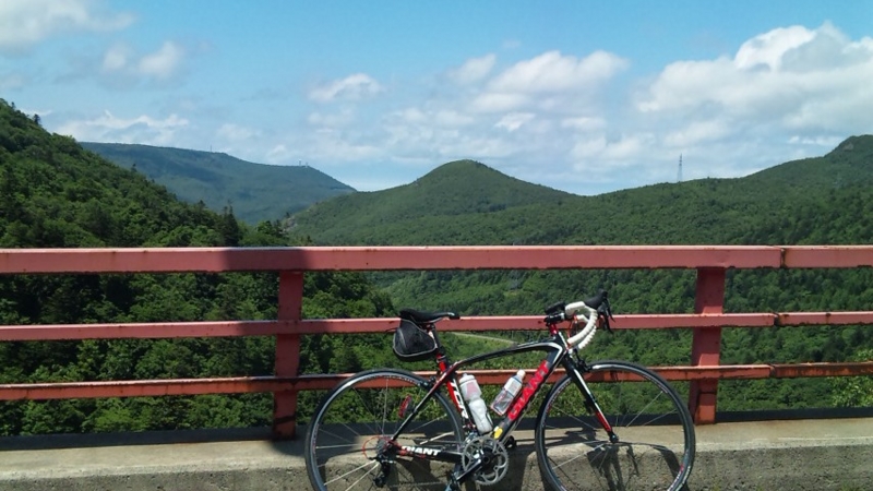f:id:siro_pug:20110705120349j:image:w360