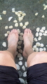 f:id:siro_pug:20110705132010j:image:medium