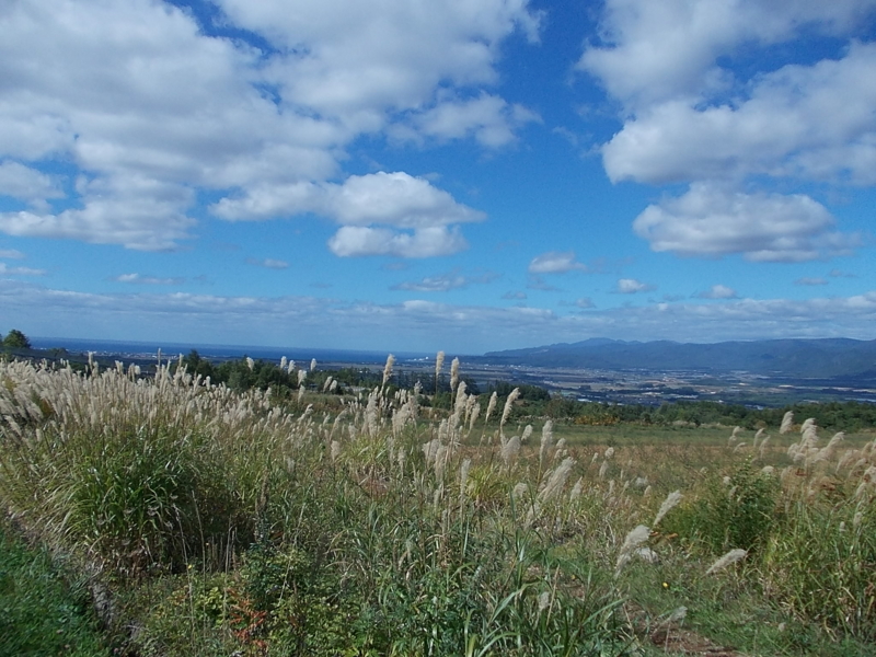 f:id:siro_pug:20121008231624j:image:w640