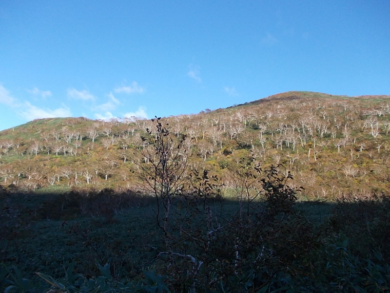 f:id:siro_pug:20121008231628j:image:w640