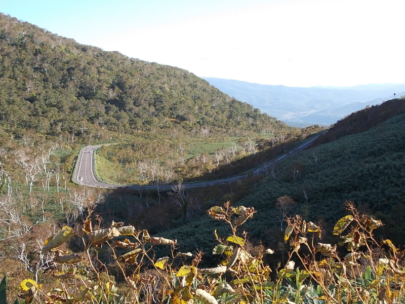f:id:siro_pug:20121008231629j:image:w640
