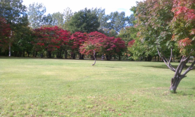 f:id:siro_pug:20121014013038j:image:w640
