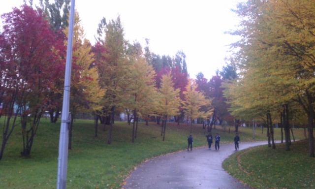 f:id:siro_pug:20121021231239j:image:w640