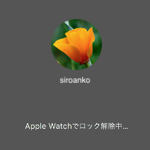 f:id:siroanko:20180329124133p:plain