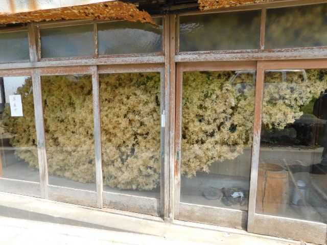f:id:sirobutaihei:20180905061116j:image f:id:sirobutaihei:20180905061116j:image