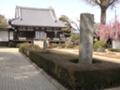 [寺][市川]市川国分寺本堂