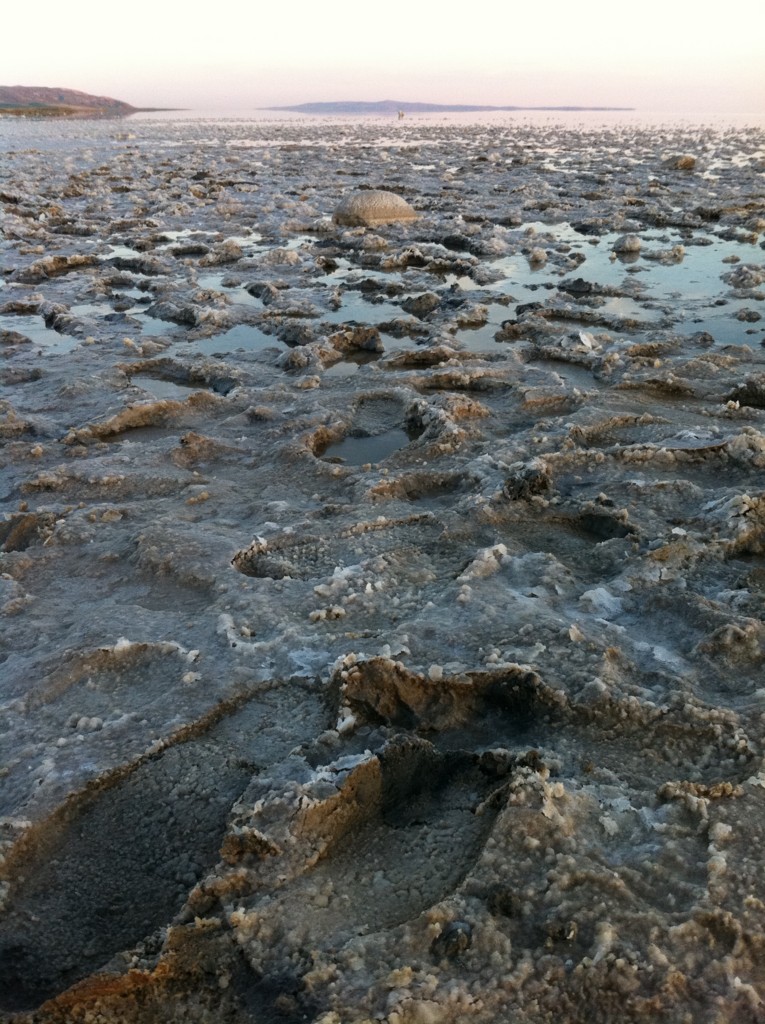 f:id:sirocco:20120423191729j:plain f:id:sirocco:20120423191729j:plain