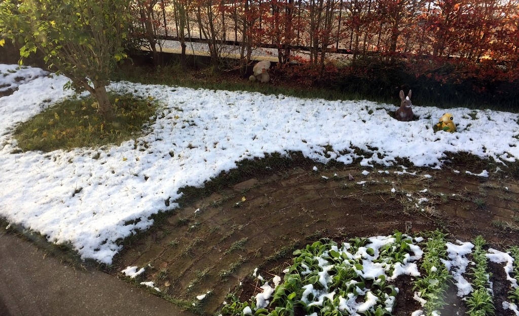 f:id:sirocco:20161125071816j:plain