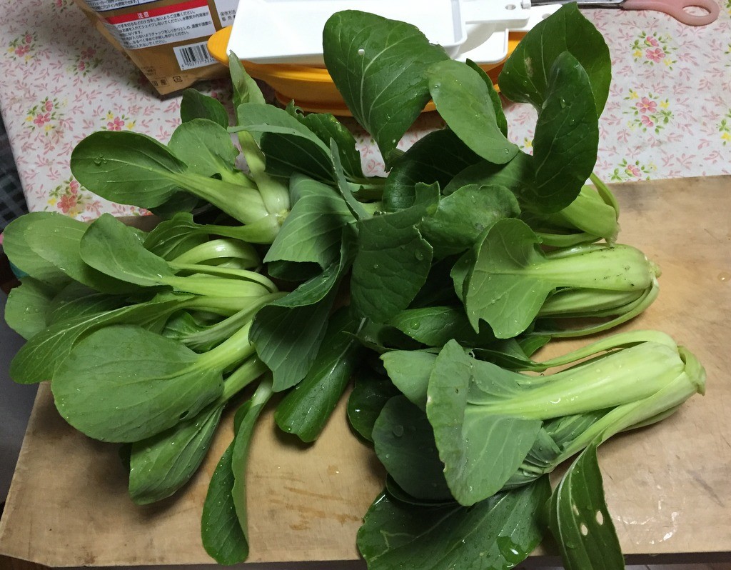 f:id:sirocco:20170119065142j:plain