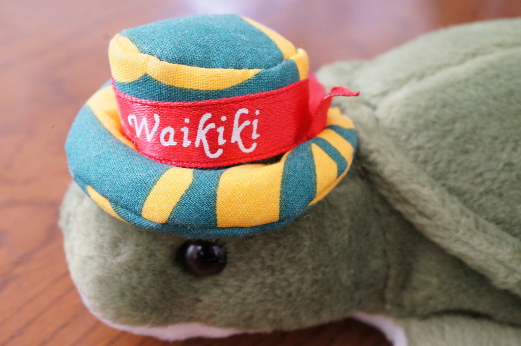 f:id:sirocco:20170124112413j:plain f:id:sirocco:20170124112413j:plain