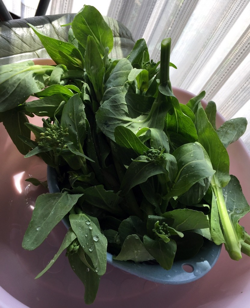 f:id:sirocco:20170320112427j:plain