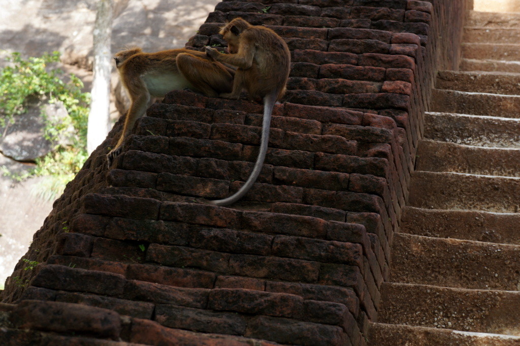 f:id:sirocco:20170515194015j:plain f:id:sirocco:20170515194015j:plain