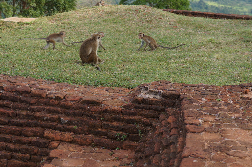 f:id:sirocco:20170515205433j:plain f:id:sirocco:20170515205433j:plain