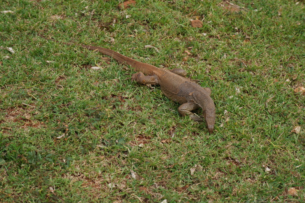 f:id:sirocco:20170515211235j:plain f:id:sirocco:20170515211235j:plain