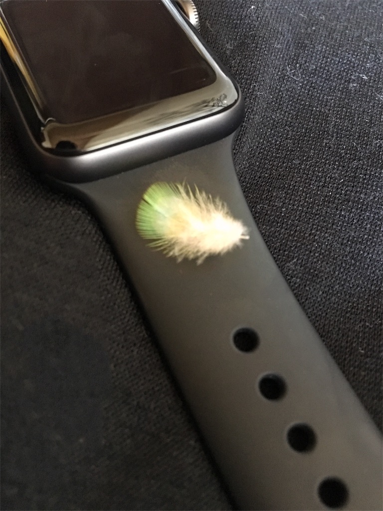 f:id:sirocham:20161107184522j:image