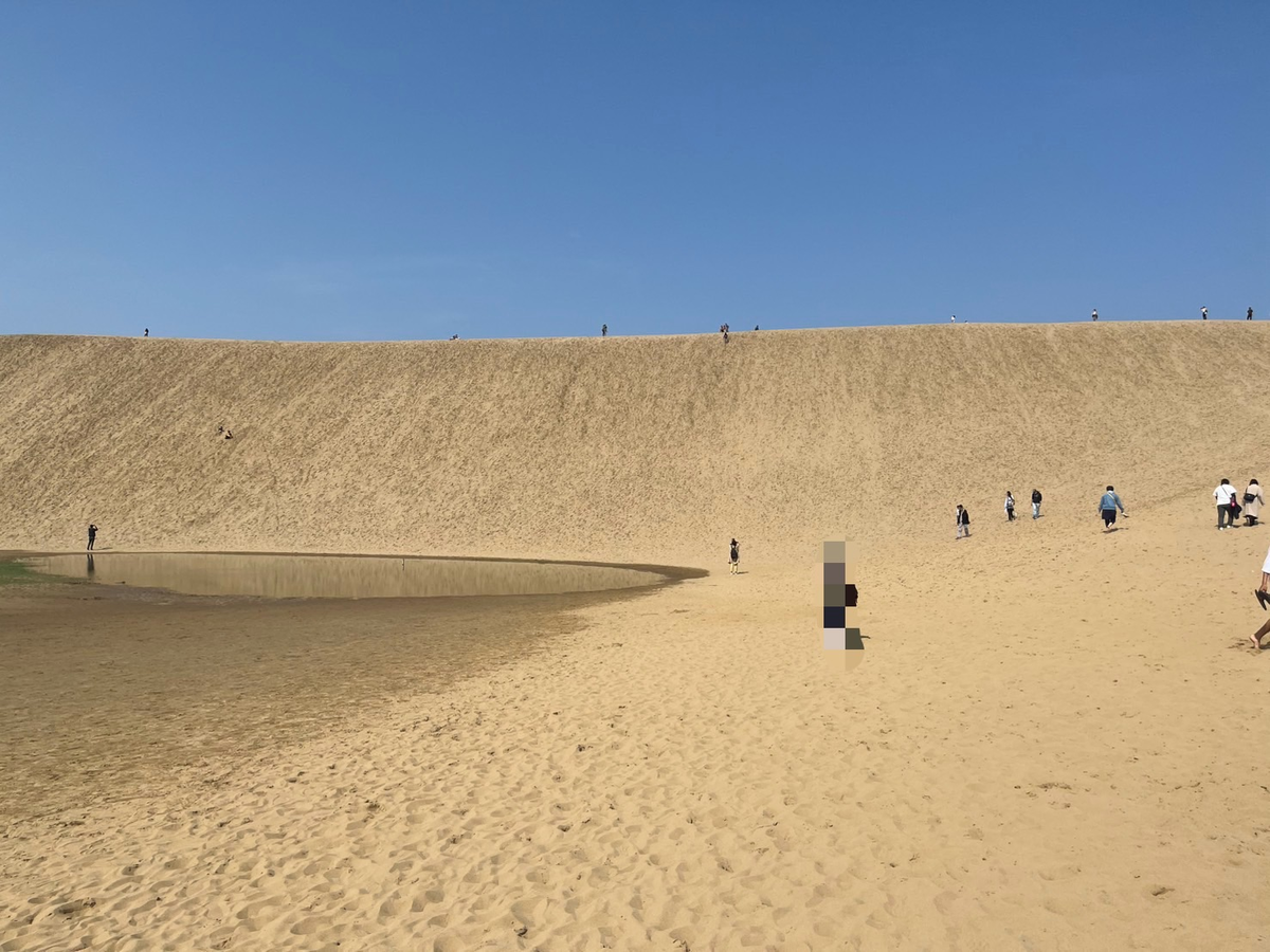 鳥取砂丘の風景