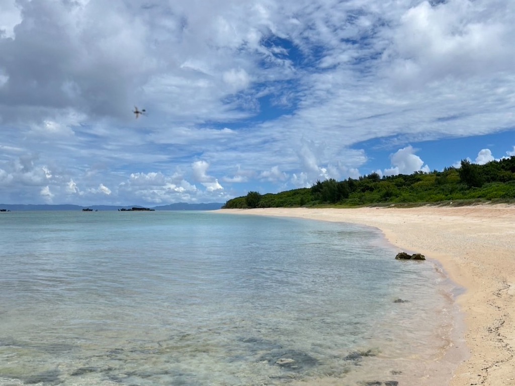 f:id:sirogomadog815:20251004201336j:image