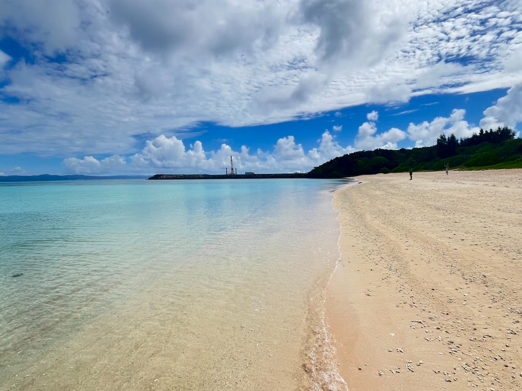 f:id:sirogomadog815:20251004201437j:image