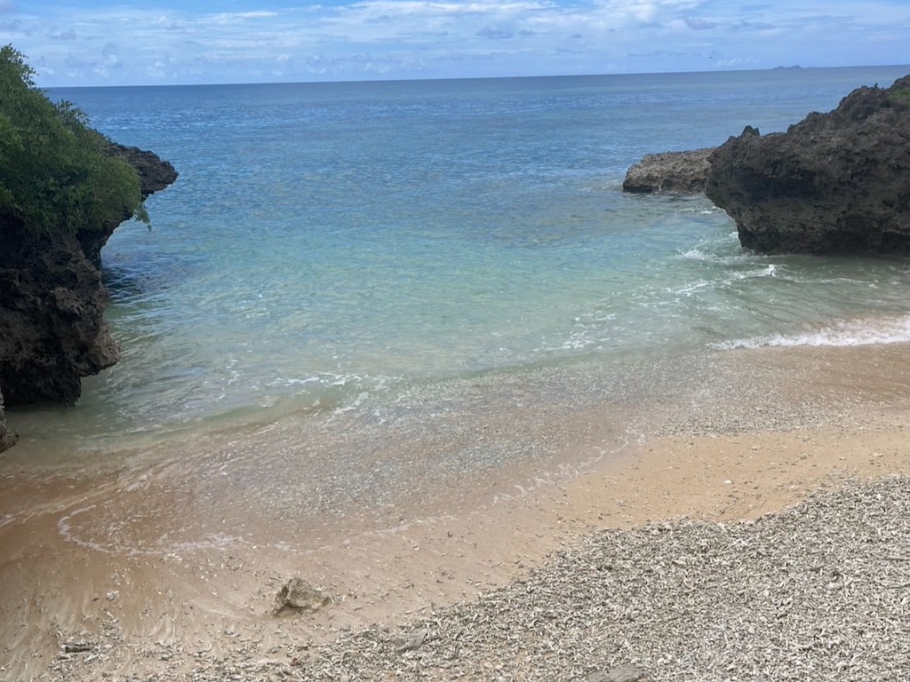 f:id:sirogomadog815:20251004201602j:image